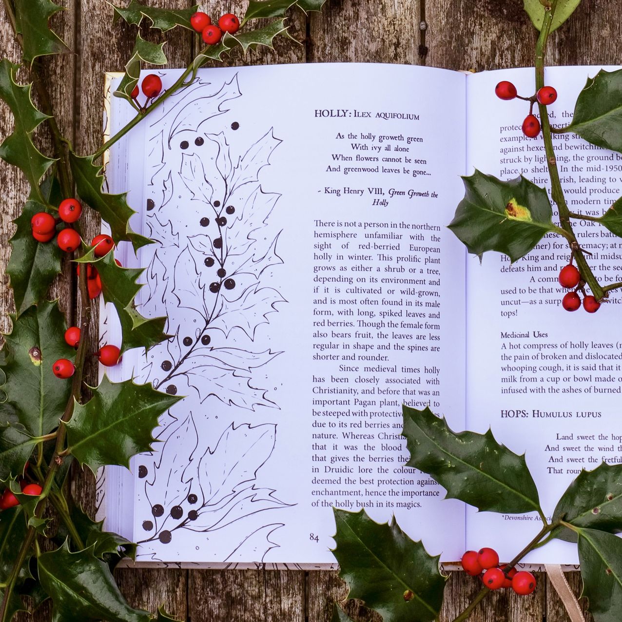 Folk Magic and Healing : An Unusual History of Everyday Plants