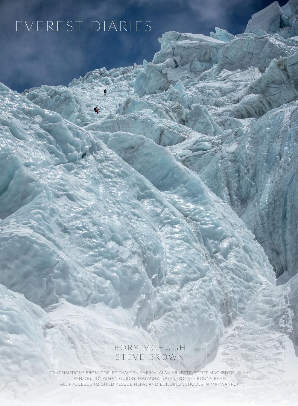 Everest Diaries