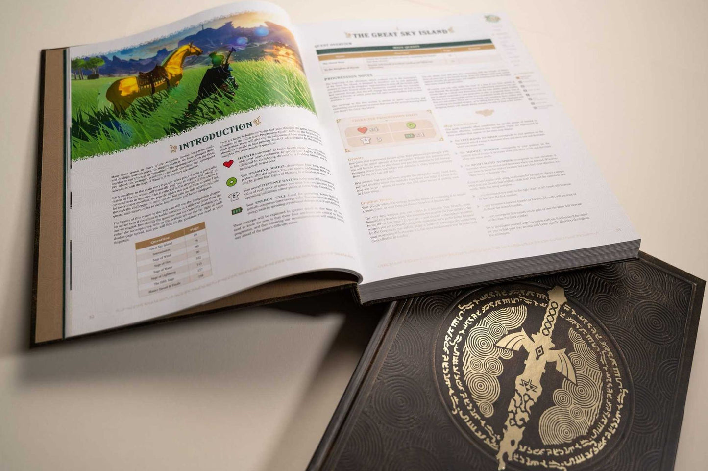 The Legend of ZeldaT: Tears of the Kingdom - The Complete Official Guide: Collector's Edition