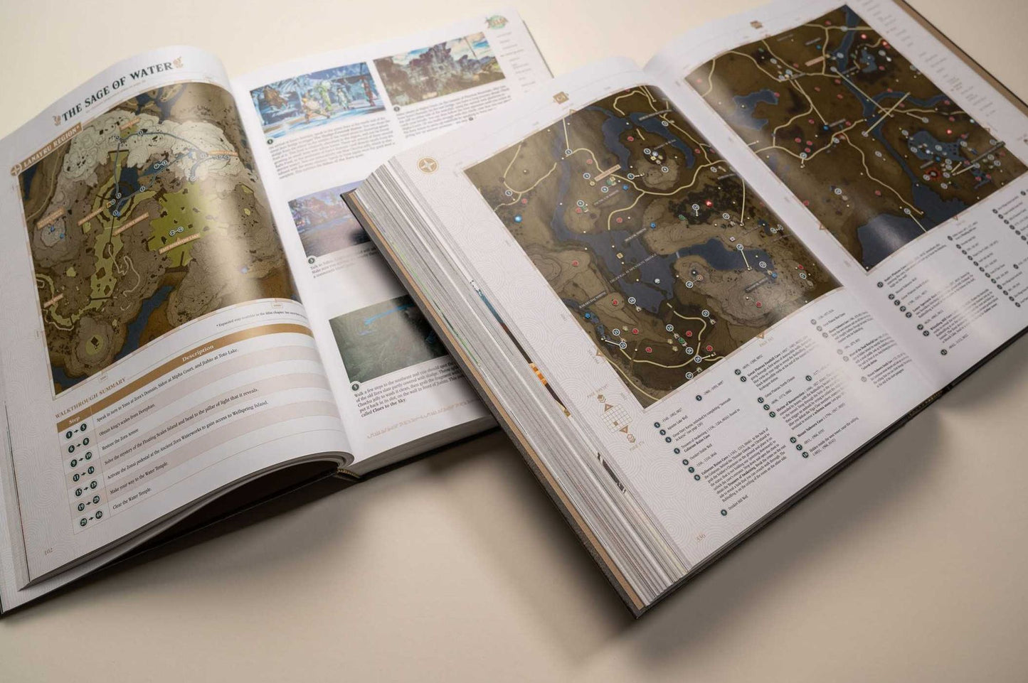 The Legend of ZeldaT: Tears of the Kingdom - The Complete Official Guide: Collector's Edition