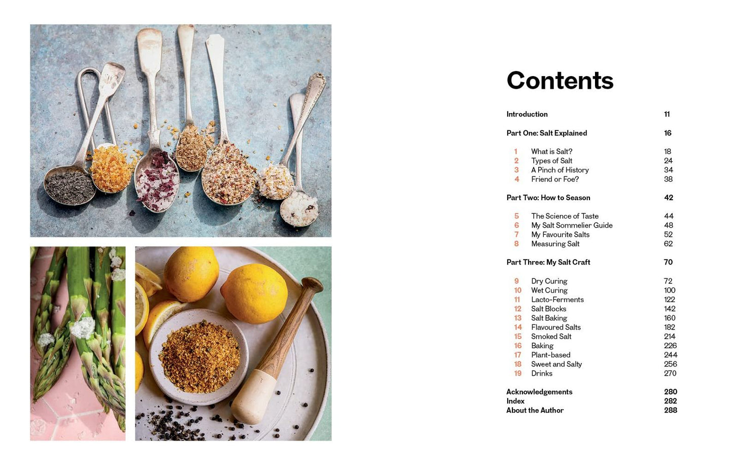 Salt and the Art of Seasoning: From Curing to Charring and Baking to Brining, Techniques and Recipes to Help You Achieve Extraordinary Flavours