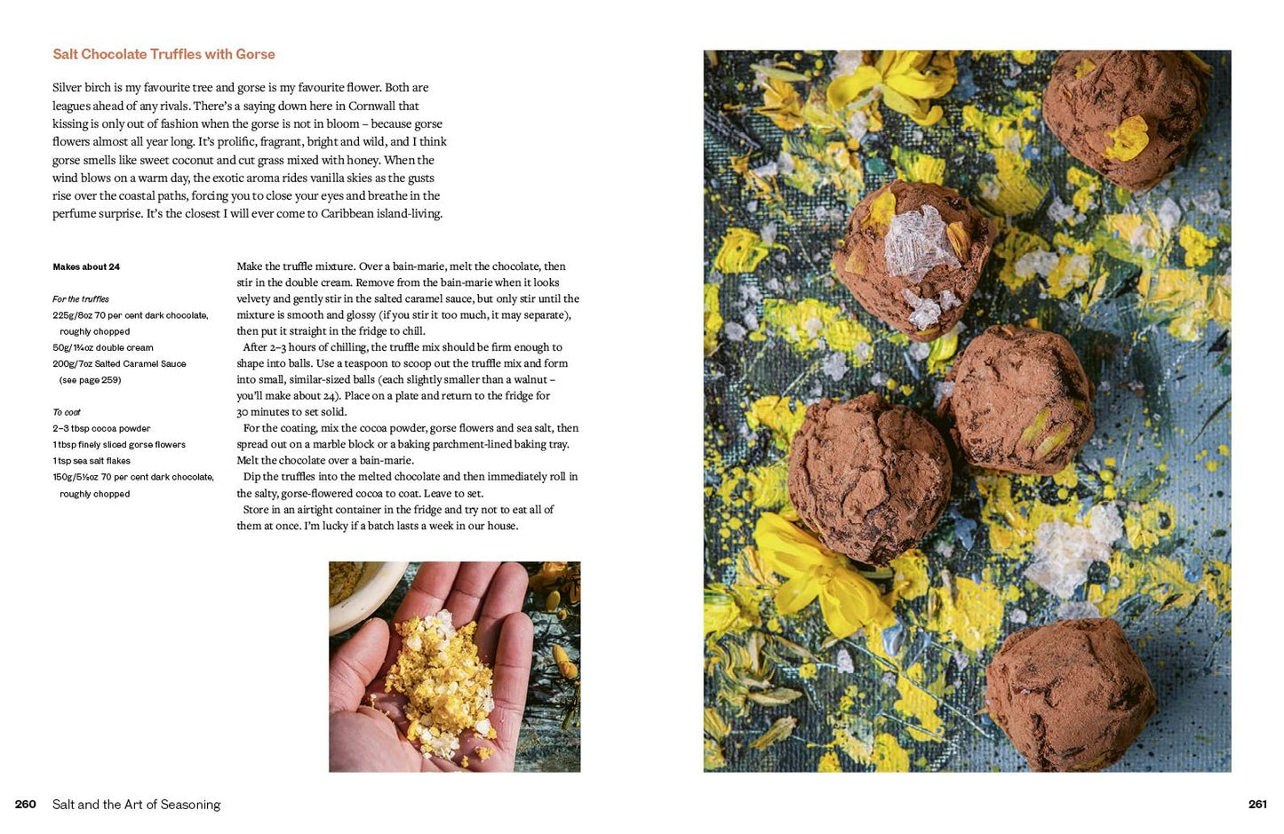 Salt and the Art of Seasoning: From Curing to Charring and Baking to Brining, Techniques and Recipes to Help You Achieve Extraordinary Flavours