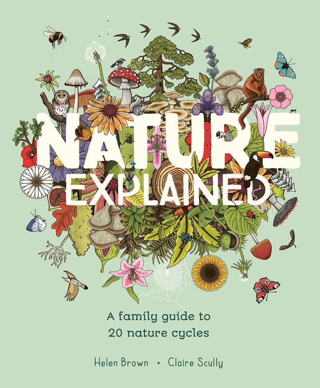 Nature Explained: Nature Cycles, Simply Told