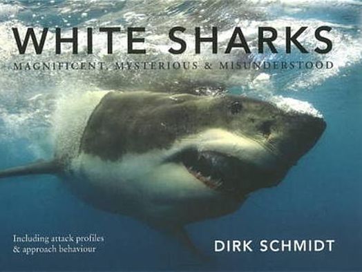 White Sharks