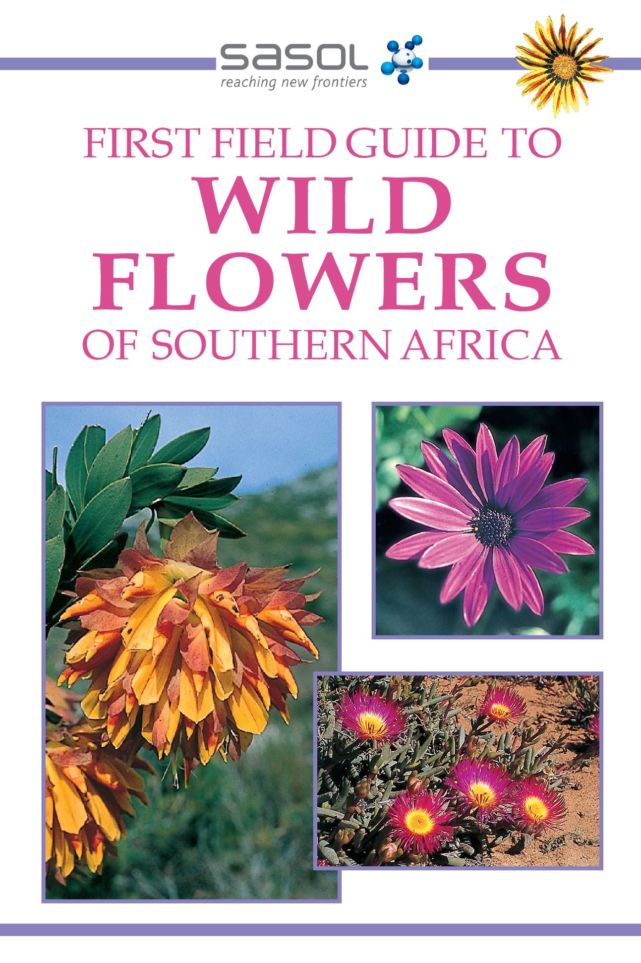 First Field Guide to Wild Flowers of Southern Africa