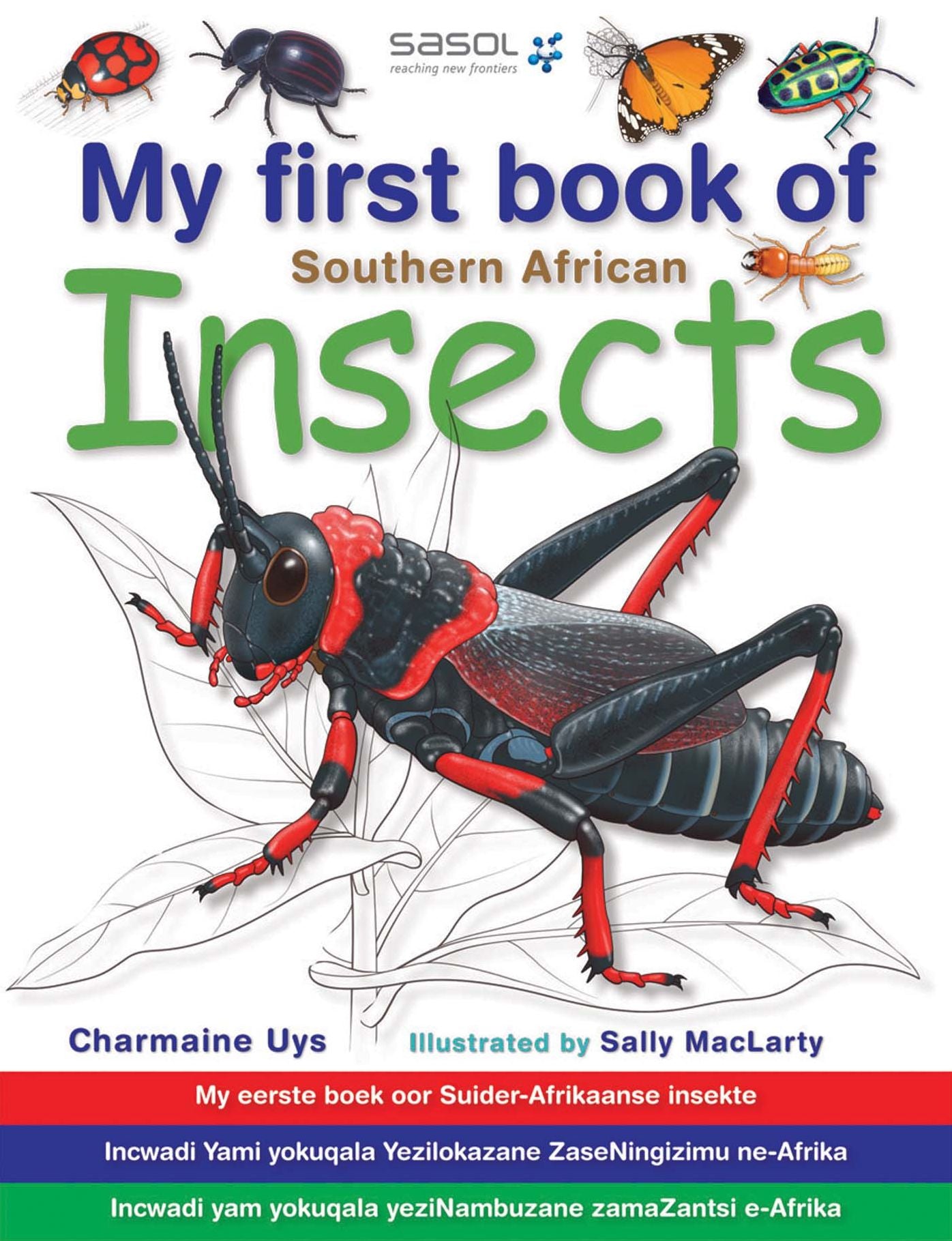 My First Book of Southern African Insects