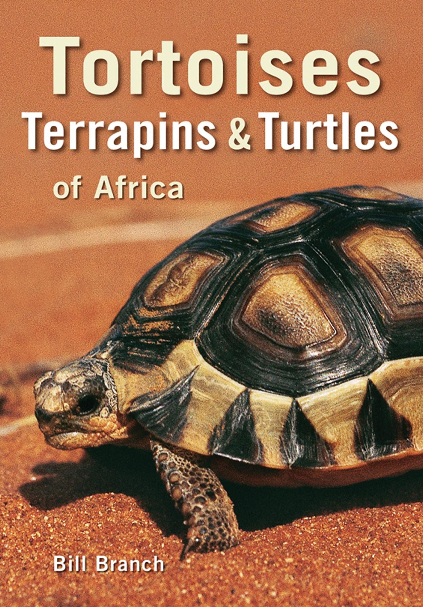 Tortoises, Terrapins & Turtles of Africa