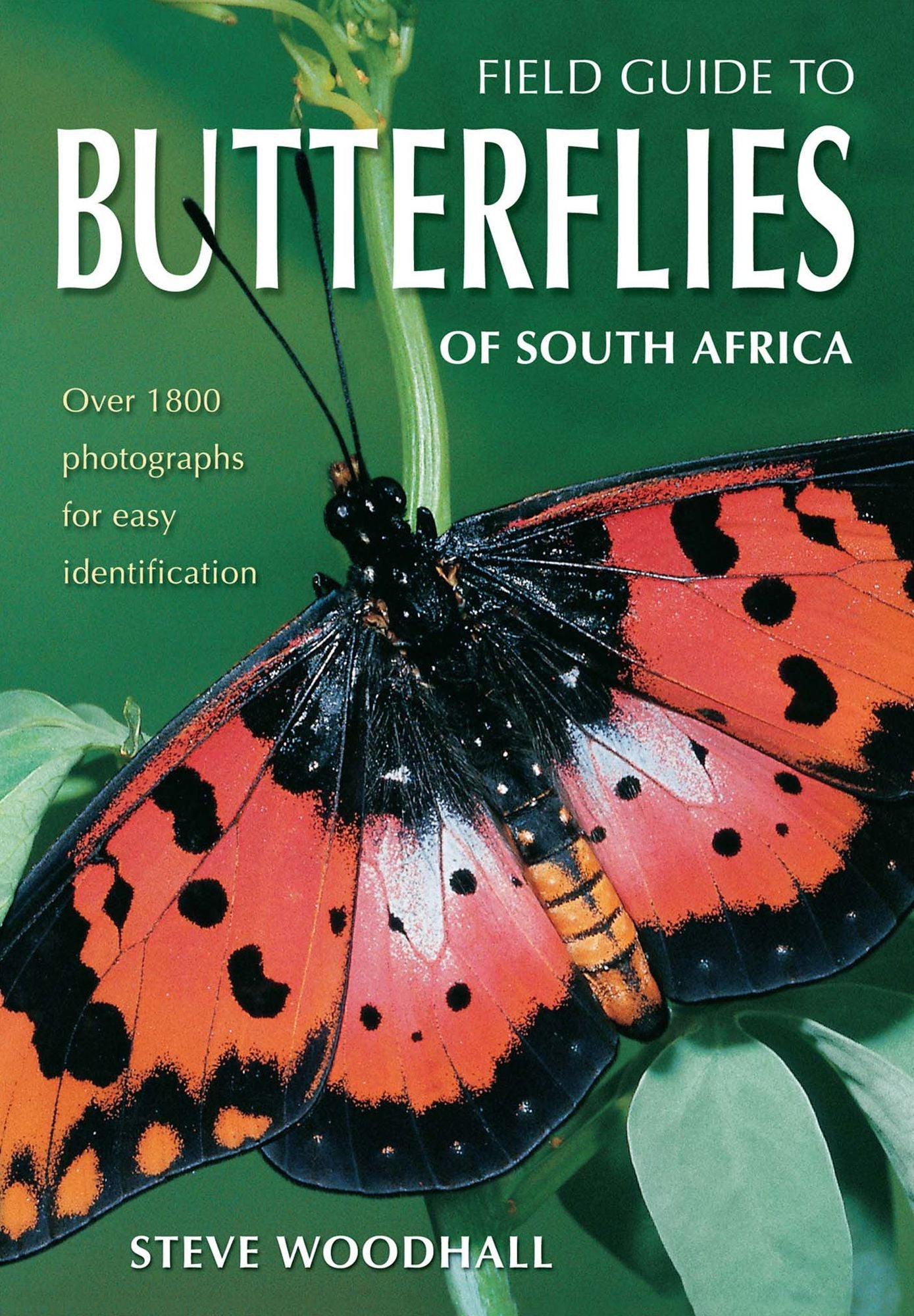 Field Guide to Butterflies of South Africa