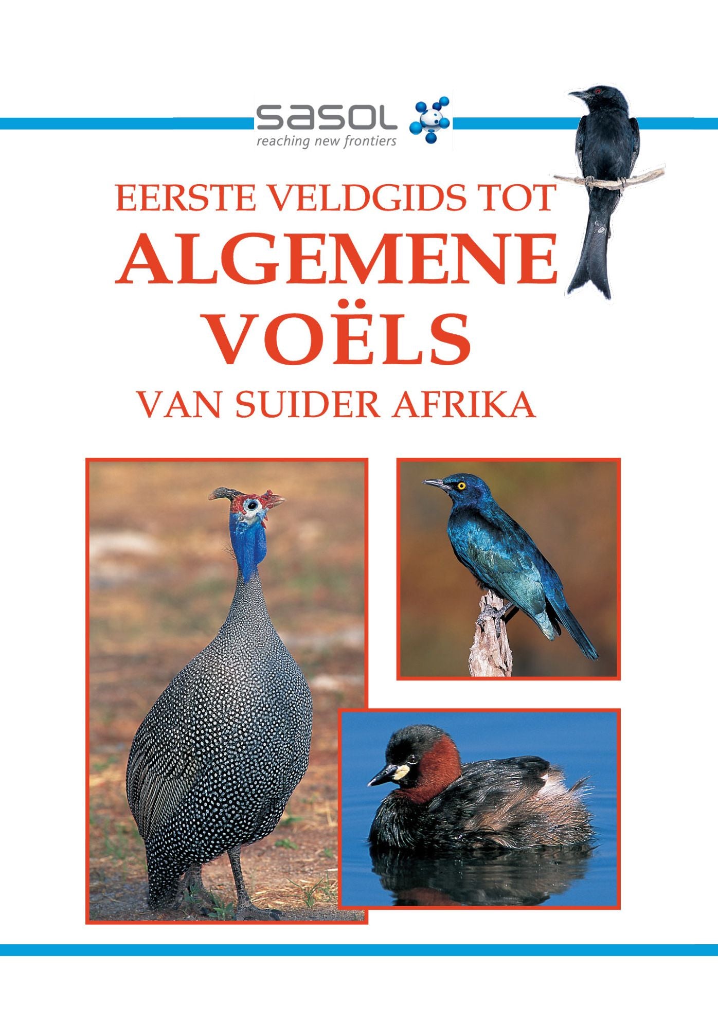 Eerste Veldgids tot Algemene Voëls