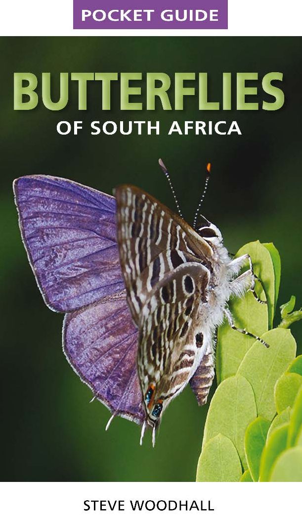Pocket Guide Butterflies of South Africa