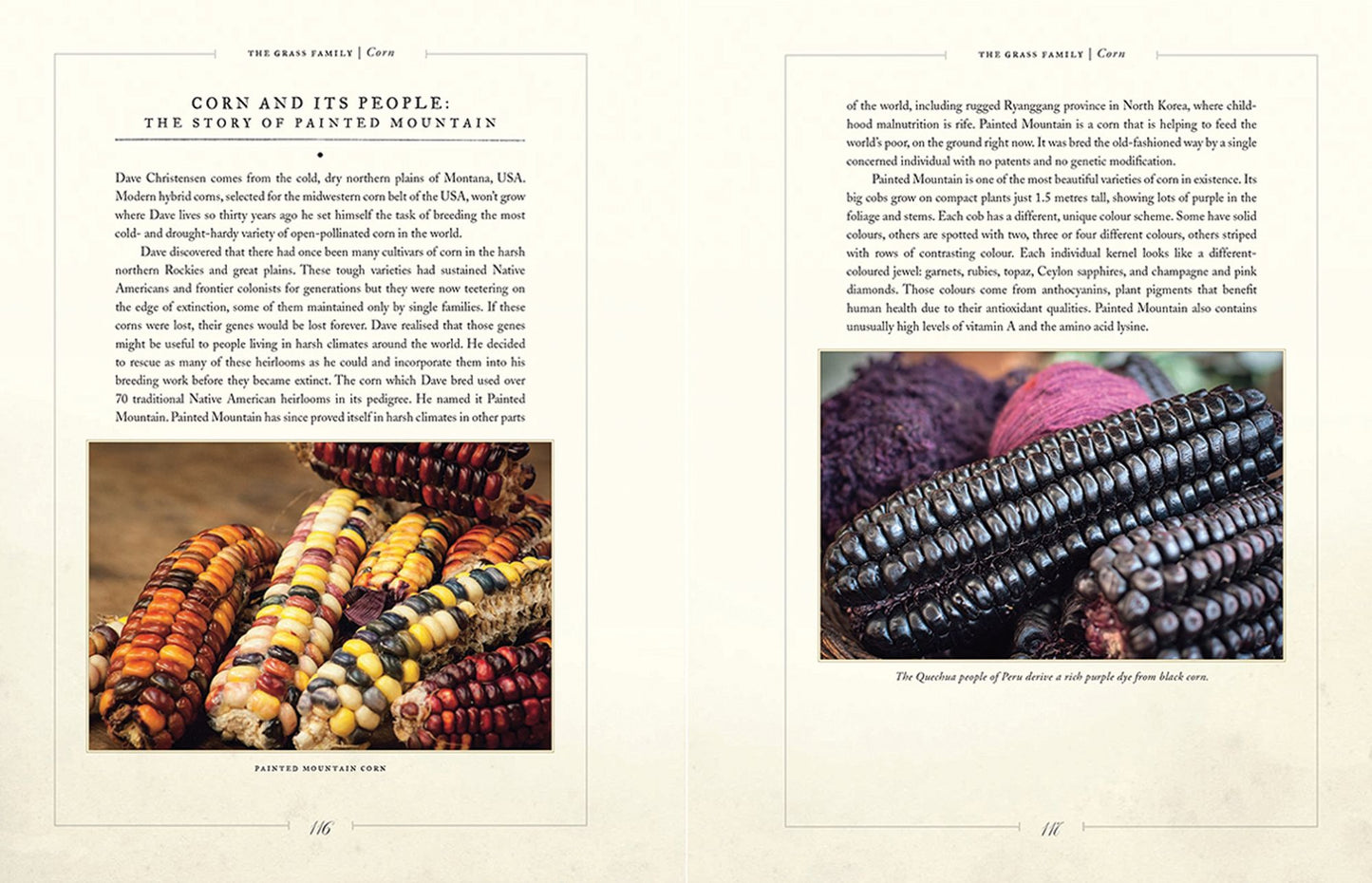 Heirloom Vegetables: A Guide to their History and Varieties