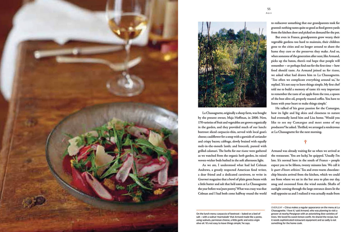 A Food Lover's Pilgrimage Along the Camino to Santiago de Compostela: Food, Wine and Walking through Southern France and the North of Spain