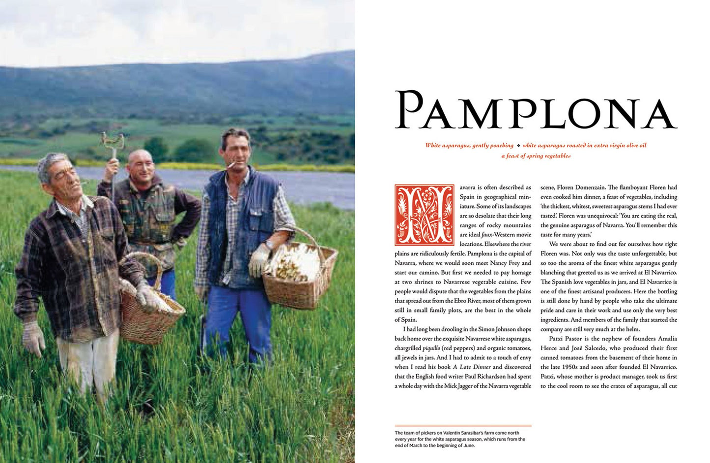 A Food Lover's Pilgrimage Along the Camino to Santiago de Compostela: Food, Wine and Walking through Southern France and the North of Spain