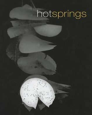 Hot Springs: The Northern Territory and Contemporary Australian Artists