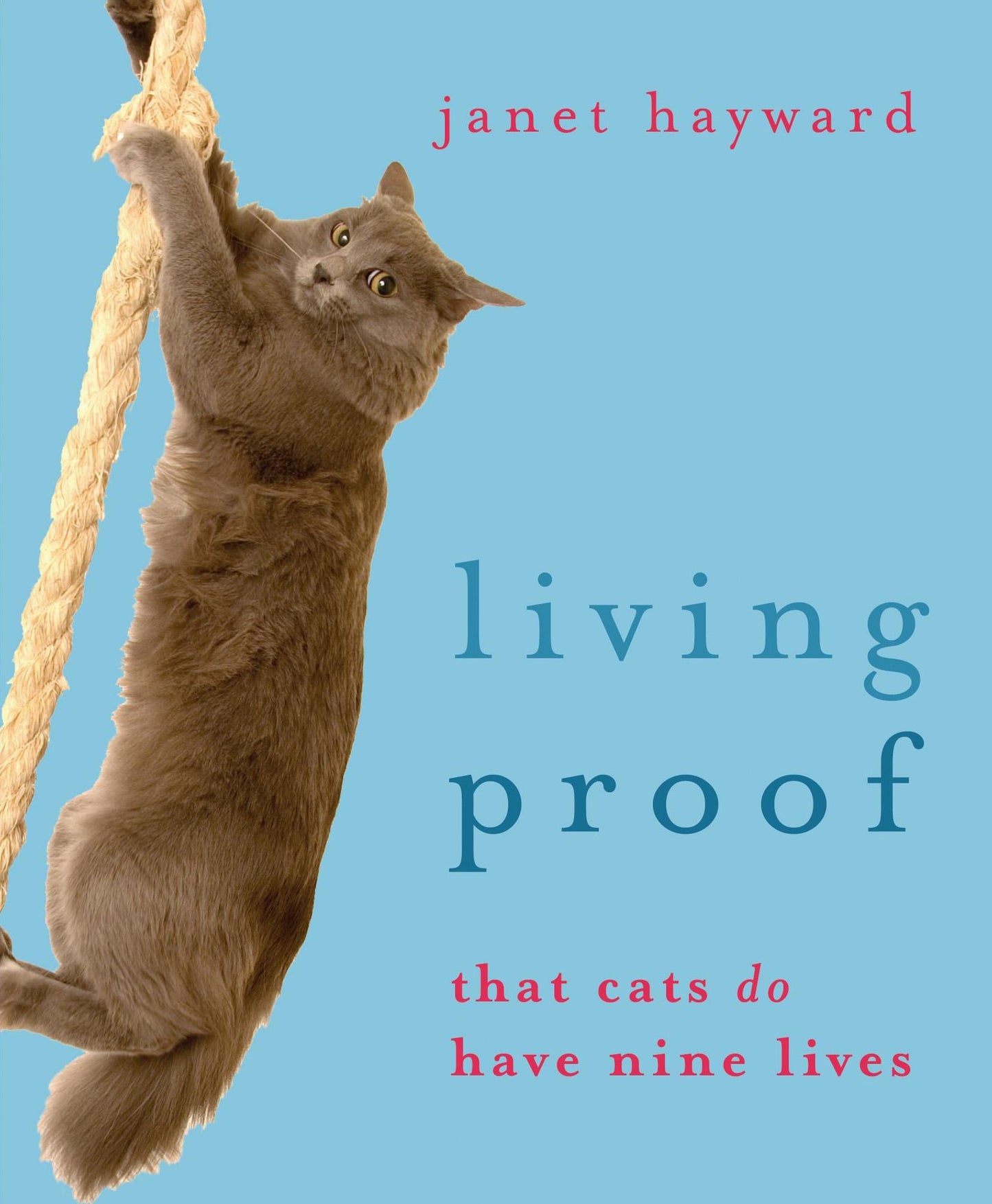 Living Proof: That cats do have nine lives