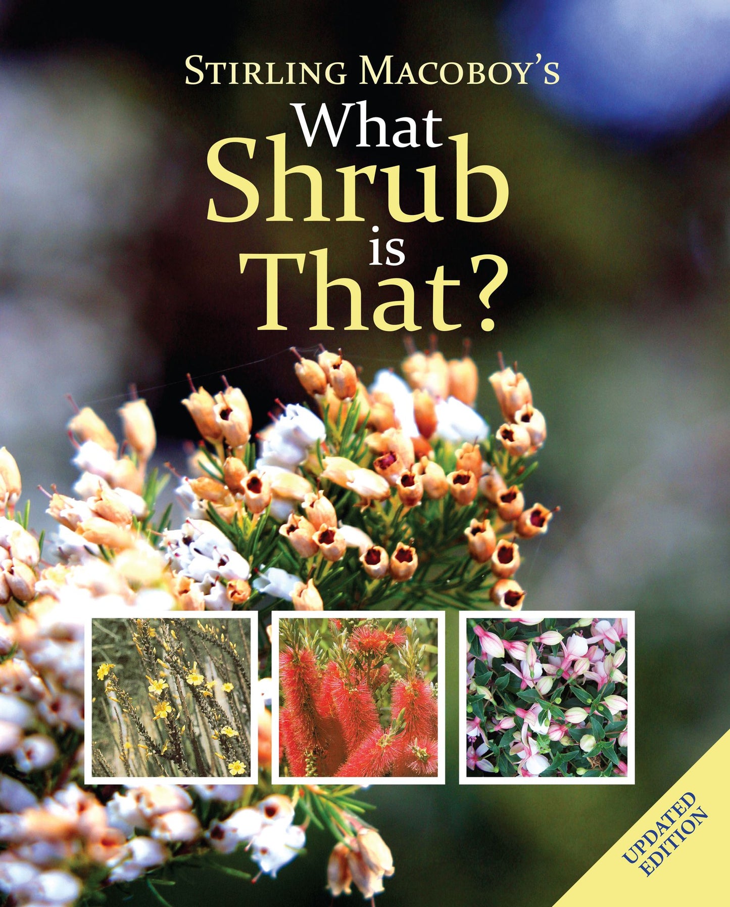 What Shrub is That?