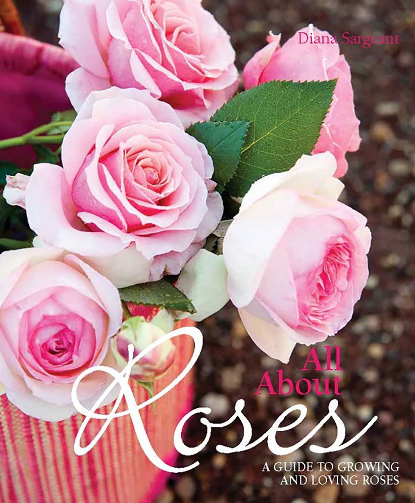All About Roses