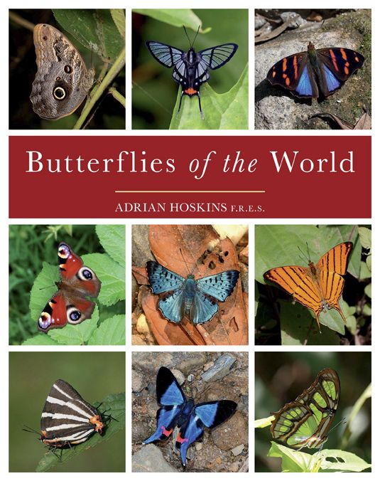 Butterflies of the World