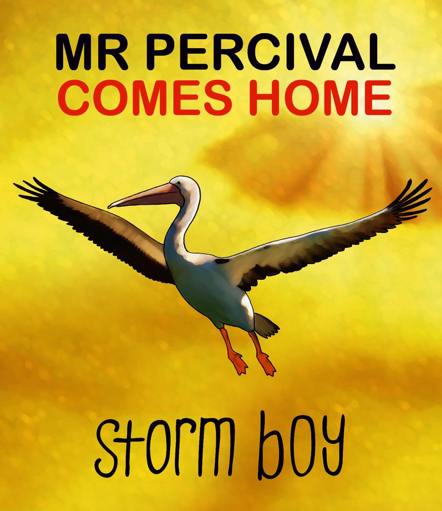 Storm Boy Anniversary Gift Box Set: Book and Plush Toy