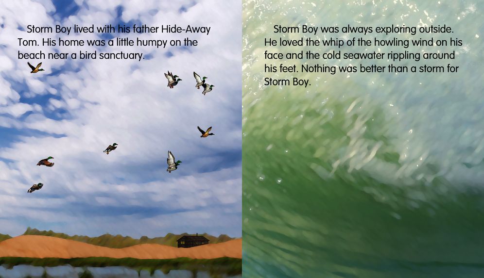 Storm Boy Anniversary Gift Box Set: Book and Plush Toy