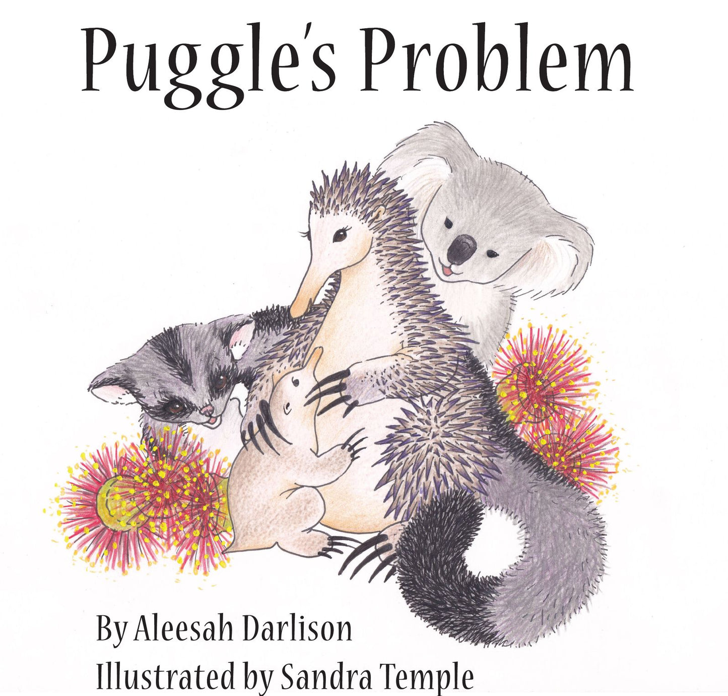 Puggle's Problem