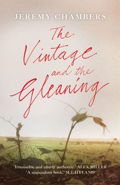 The Vintage and the Gleaning