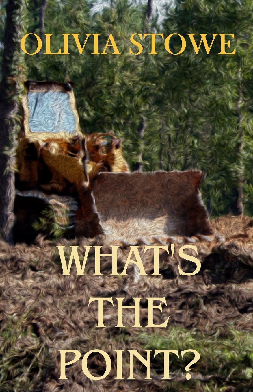 What's the Point: Charlotte Diamond Mysteries 5