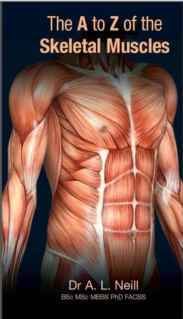 The a to Z of Skeletal Muscles