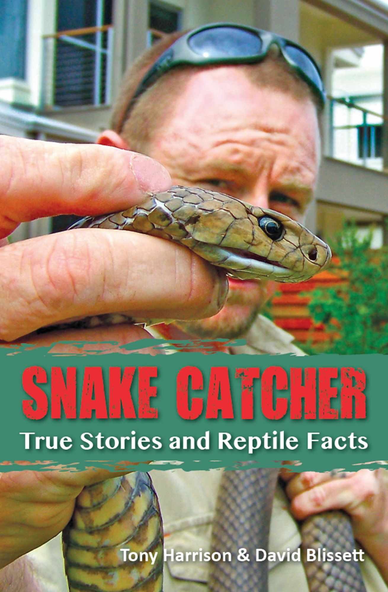 Snake Catcher : True Stories and Reptile Facts