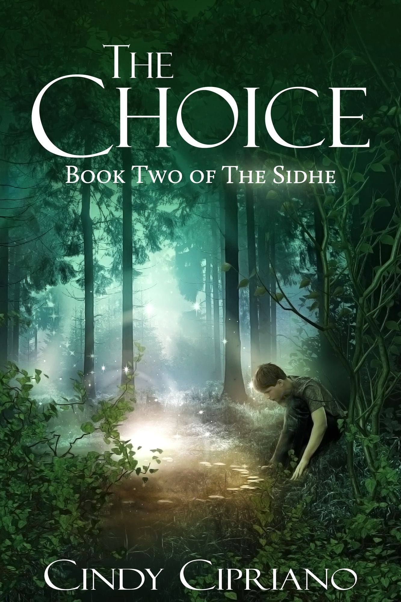 The Choice: Book Two of the Sidhe