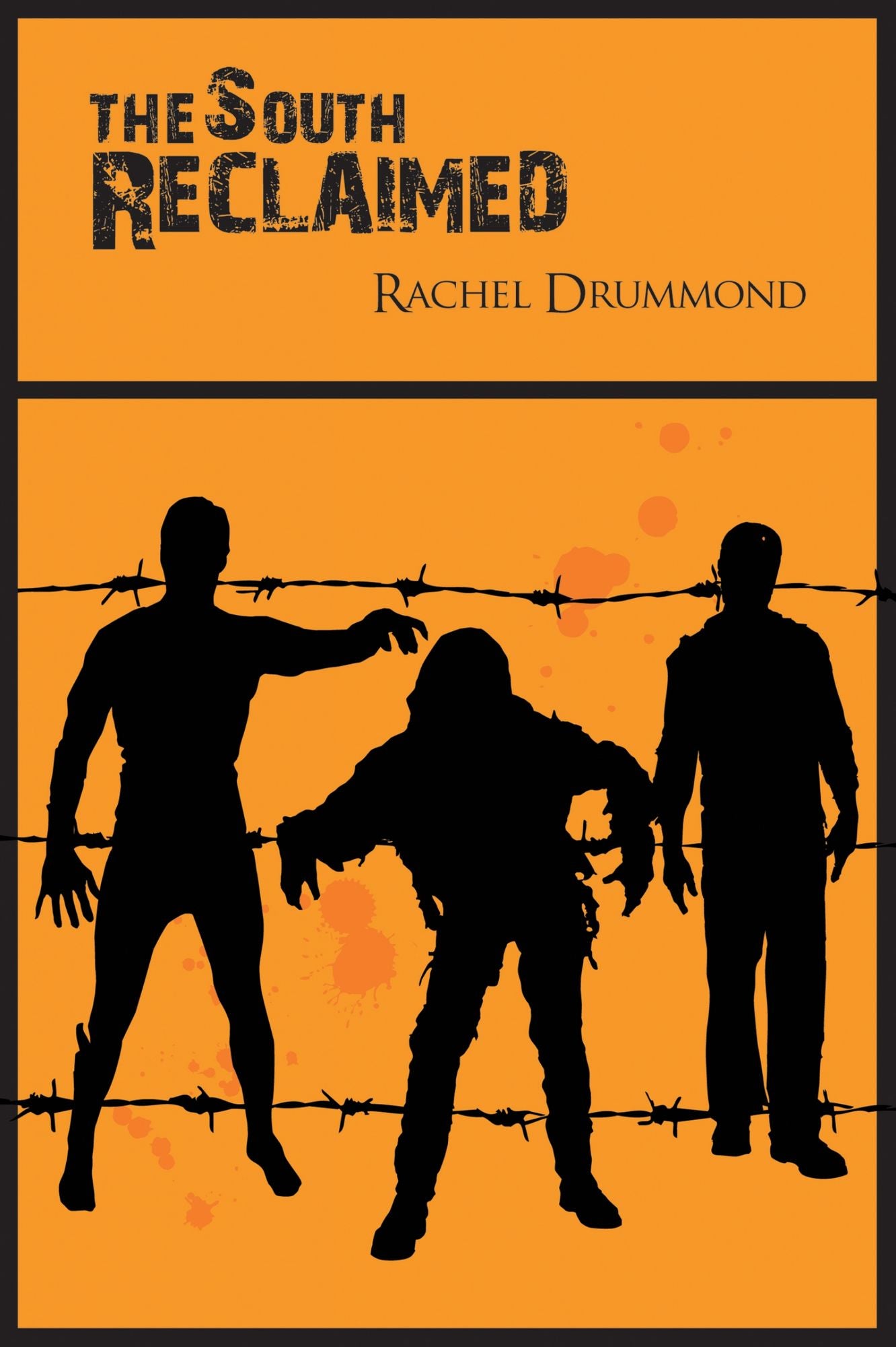 The South Reclaimed