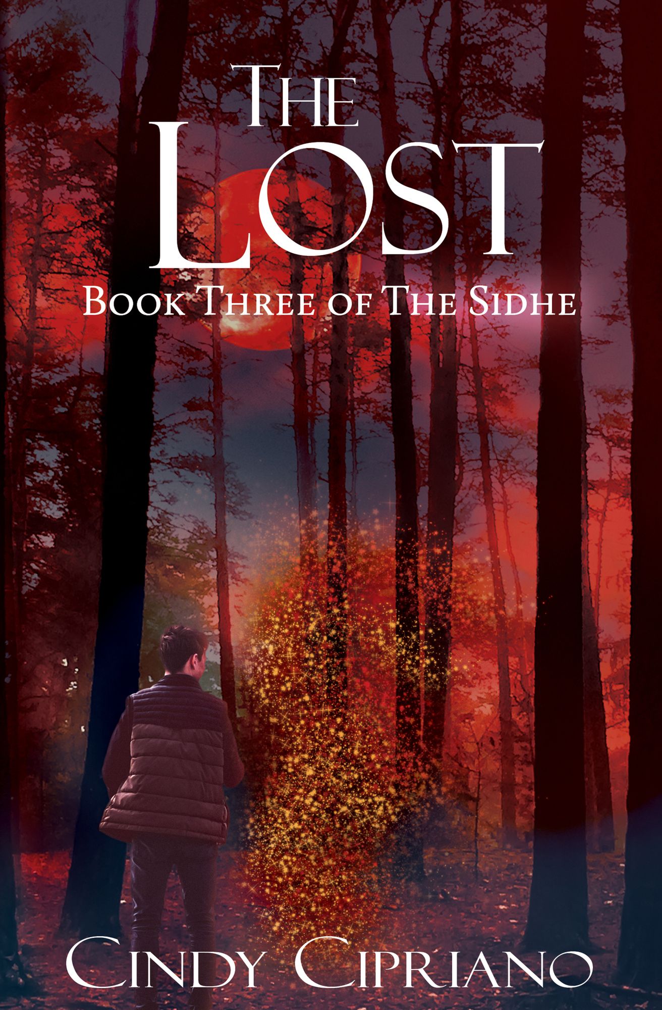 The Lost: Book Three of the Sidhe