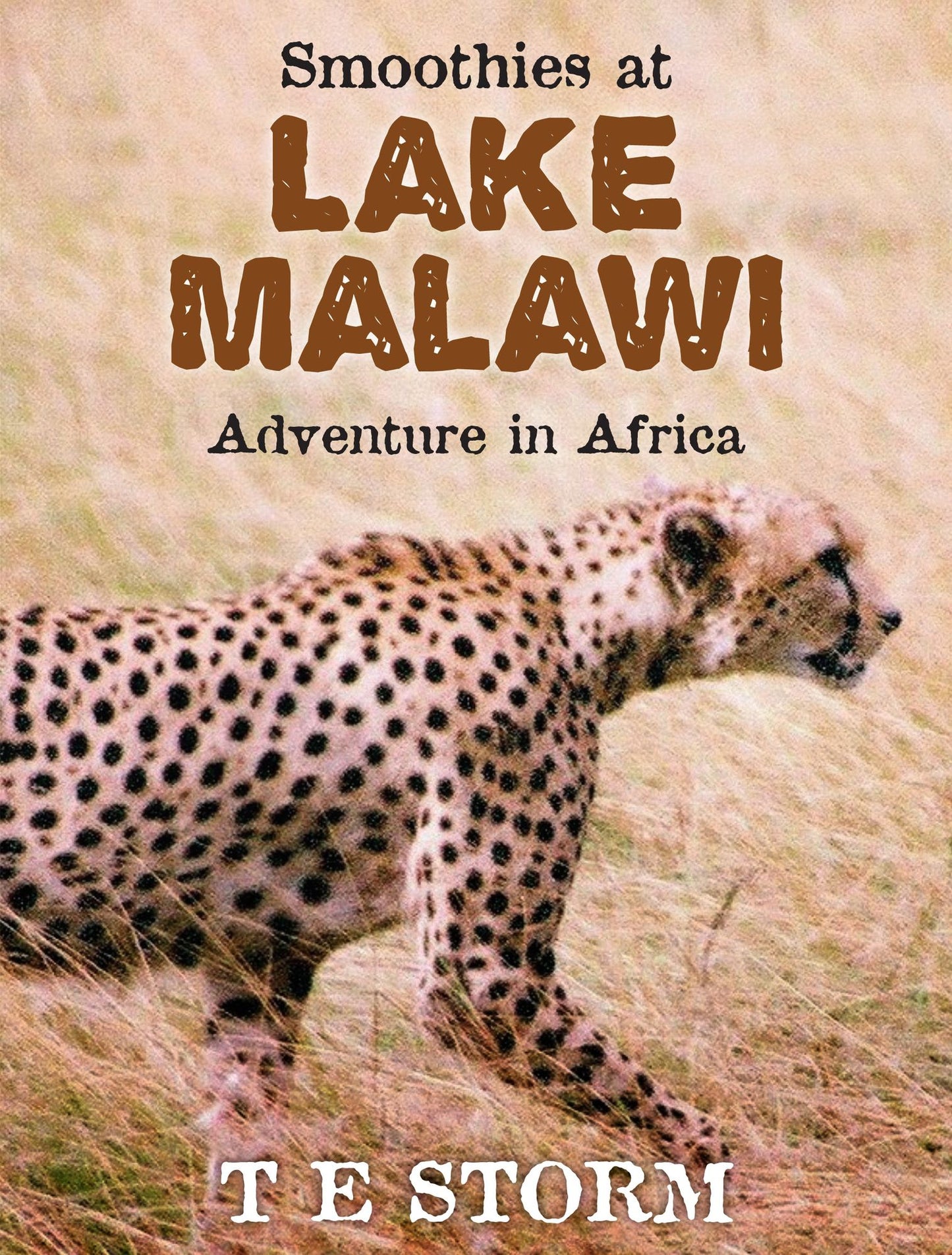 Smoothies at Lake Malawi: Adventure in Africa