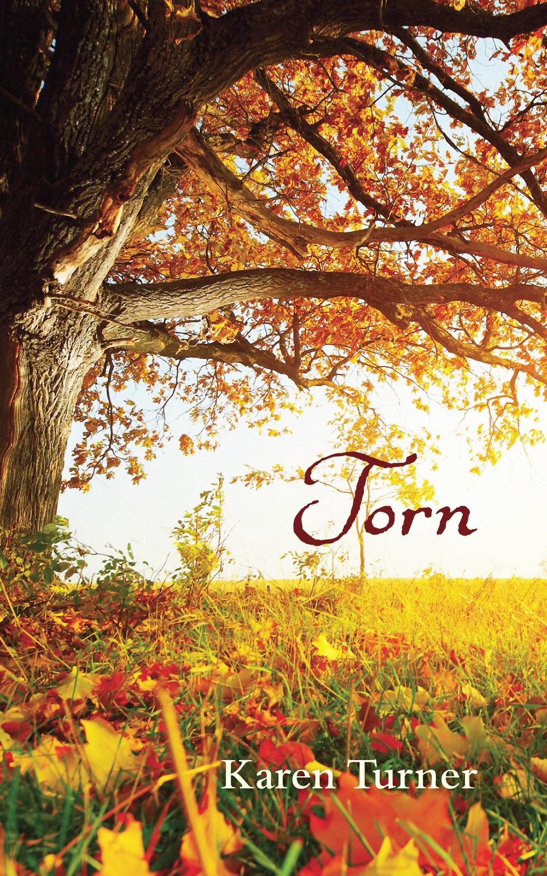 Torn