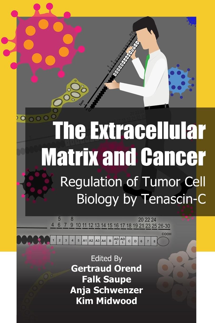 The Extracellular Matrix and Cancer: Regulation of Tumor Cell Biology by Tenascin-C
