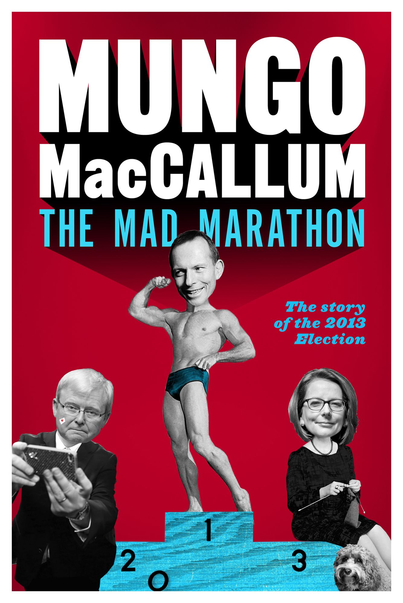The Mad Marathon: The Story of the 2013 Election