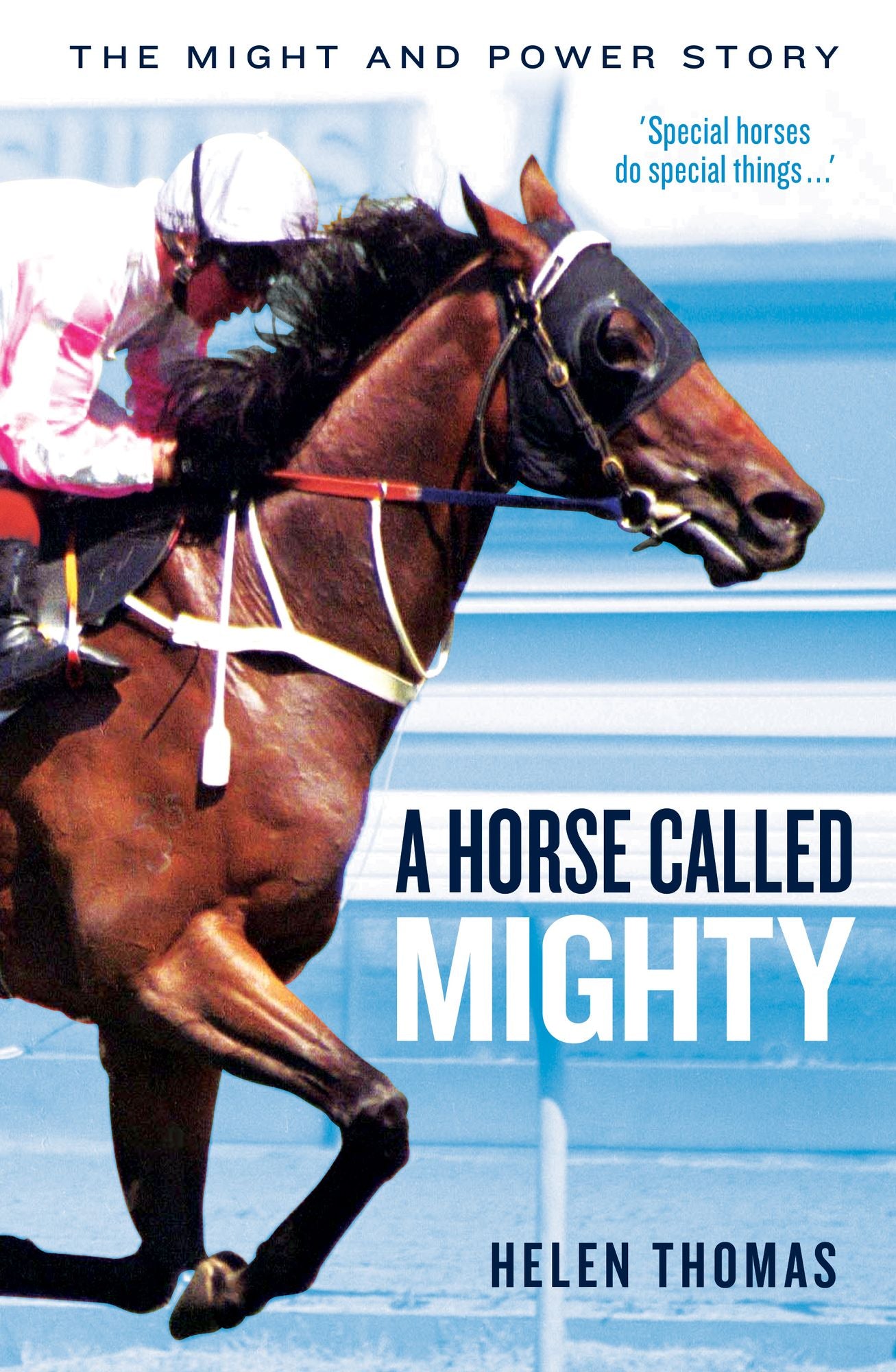 A Horse Called Mighty: The Might and Power Story