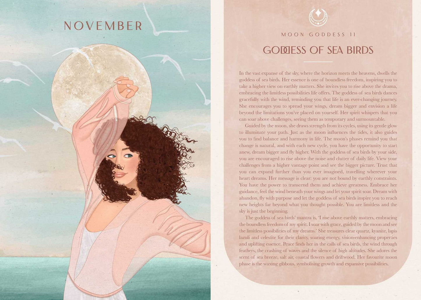 2026 Moon Goddess Planner - Northern Hemisphere