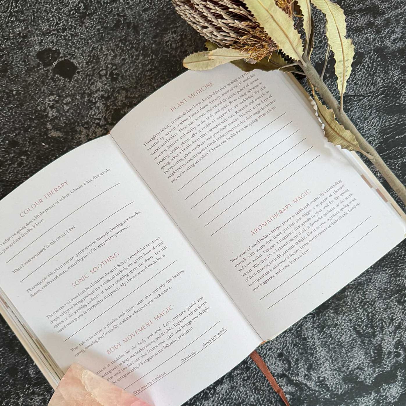 2026 Moon Goddess Planner - Northern Hemisphere