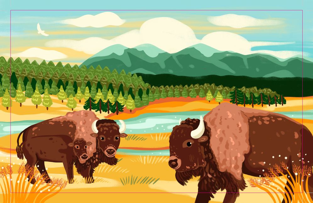 Yellowstone National Park: Lift The Fact