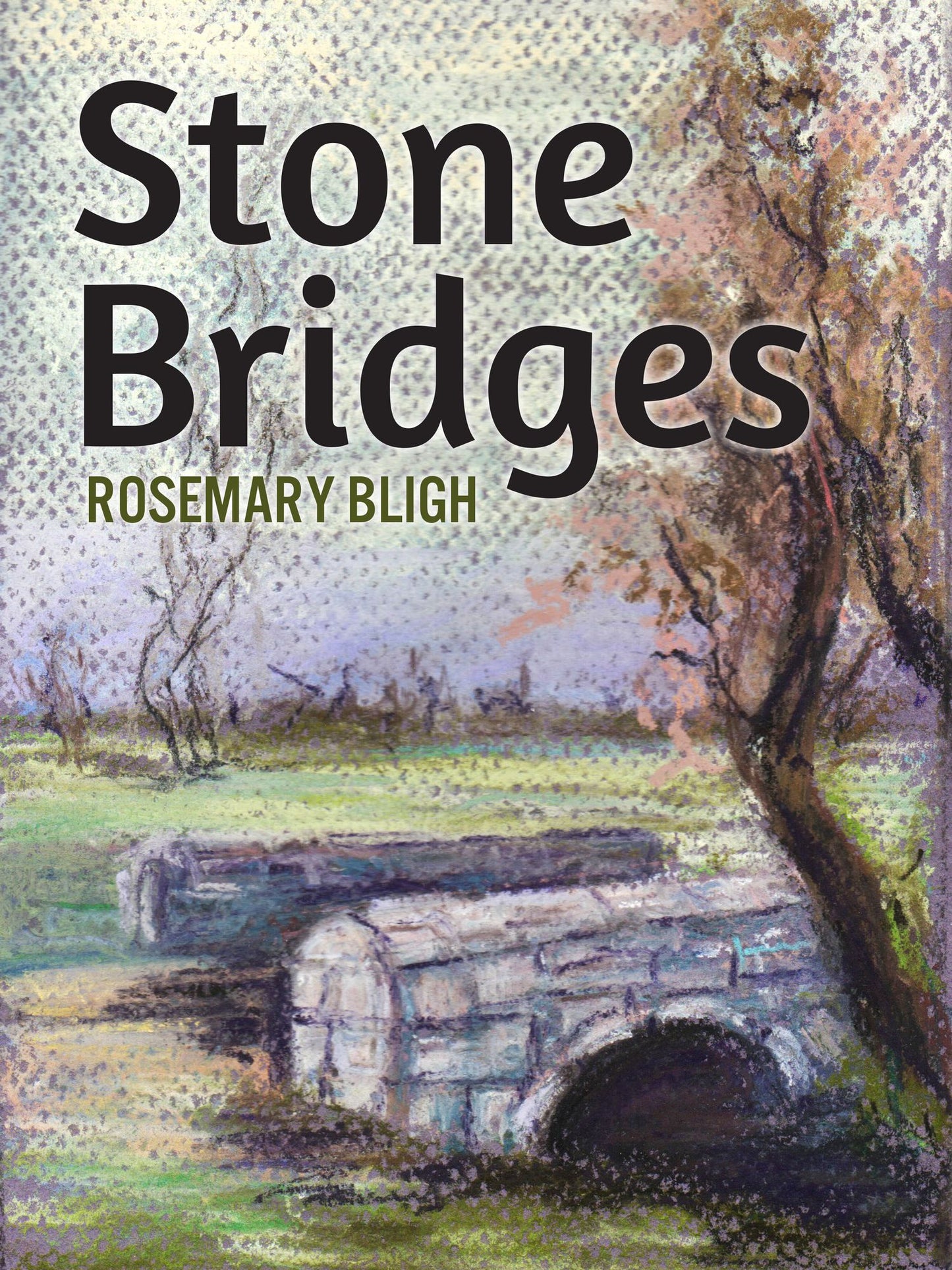 Stone Bridges: Romantic Novel in Victorian Times