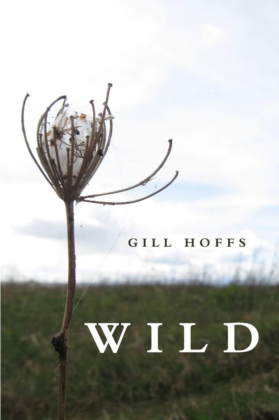 Wild: a collection