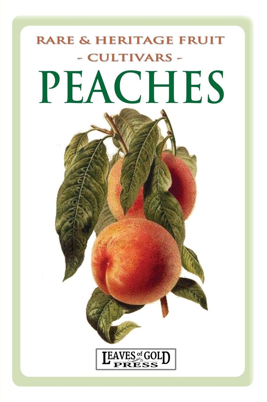 Peaches: Rare and Heritage Fruit Cultivars #8
