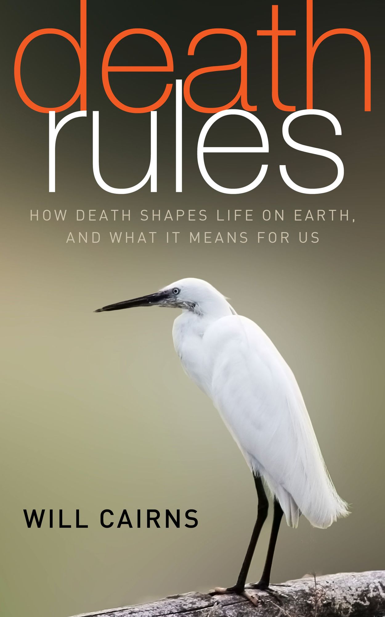 Death Rules: How Death Shapes Life on Earth, and What it Means For Us