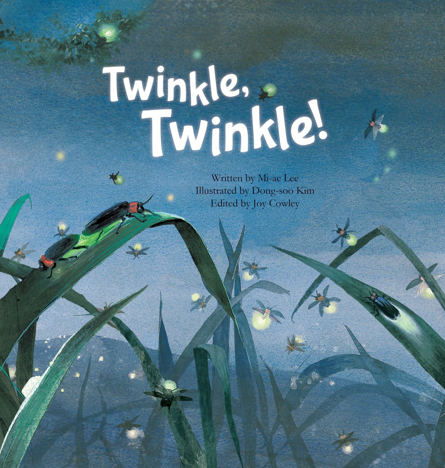 Twinkle Twinkle: Insect Life Cycle