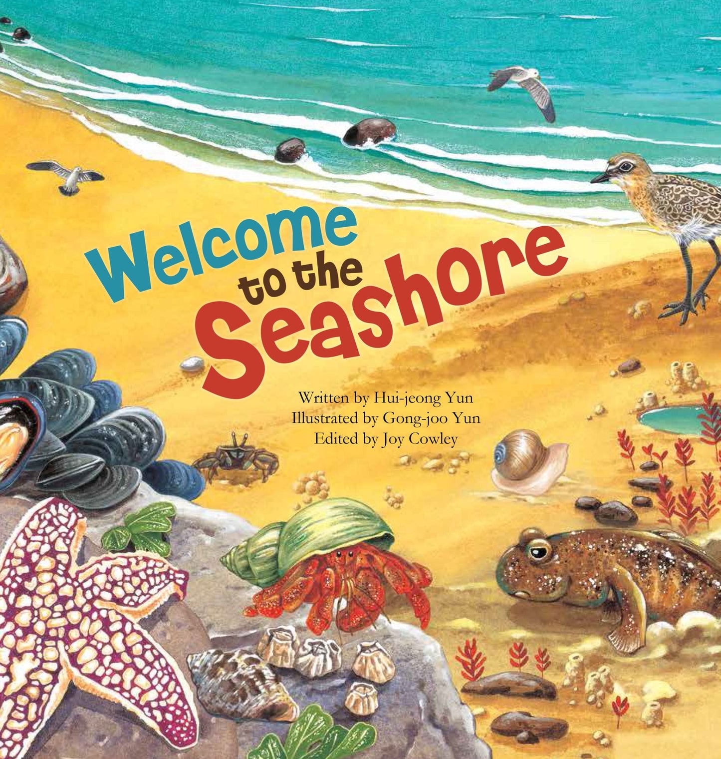 Welcome to the Seashore: Seashore Creatures