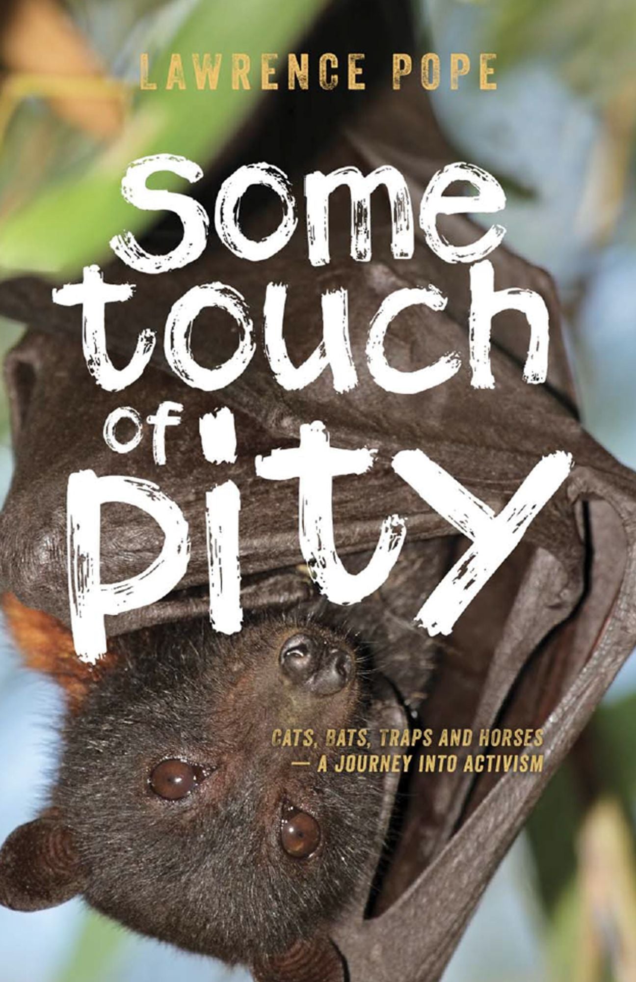 Some Touch of Pity : Cats, Bats, Traps and Horses - A Journey into Activism