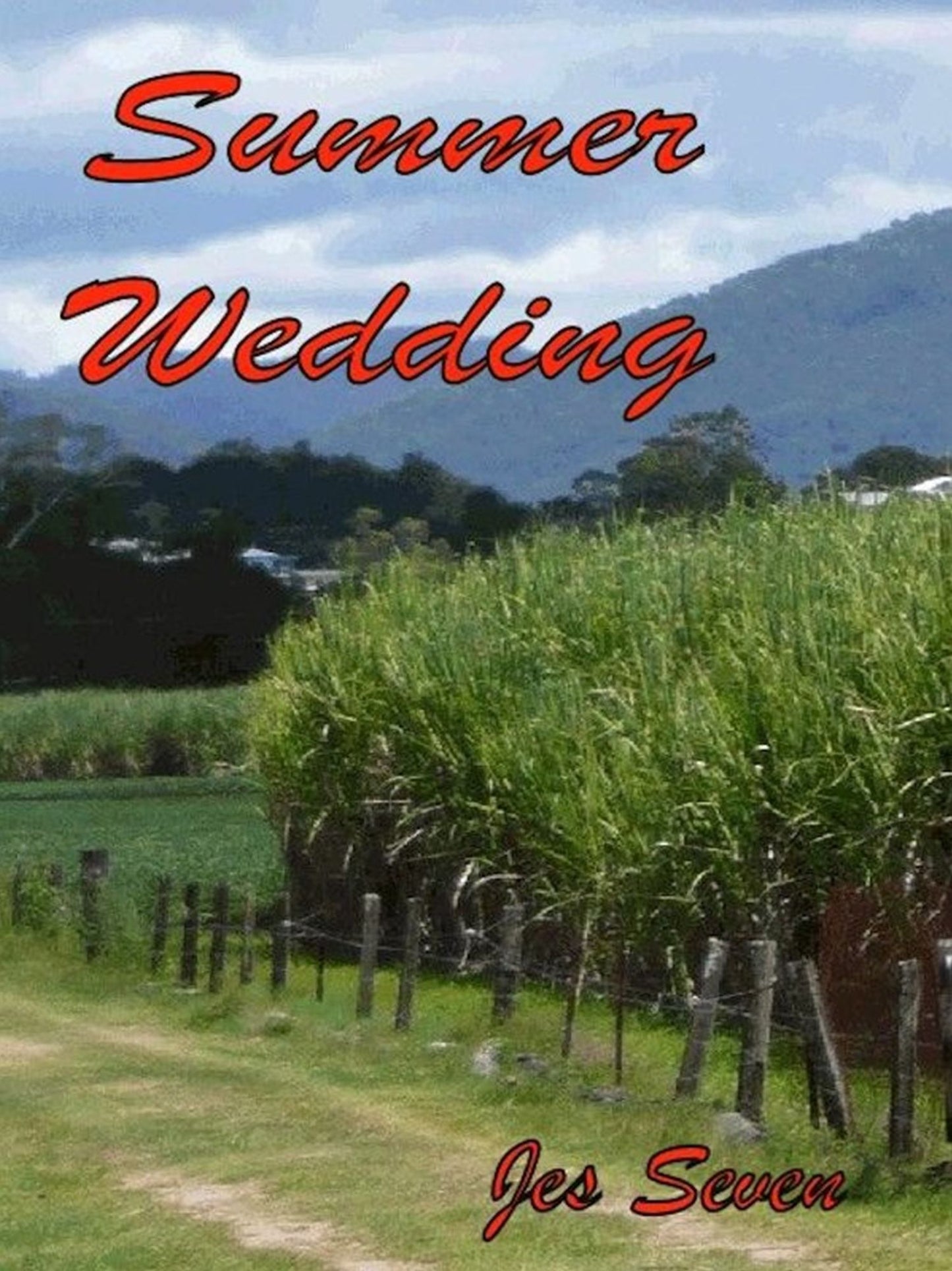 Summer Wedding