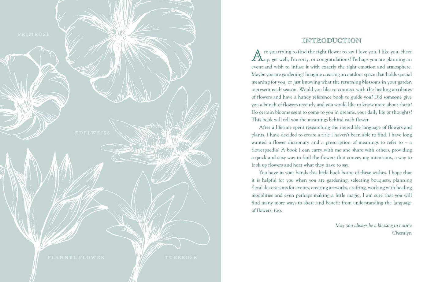 Flowerpaedia: 1000 Flowers and their Meanings