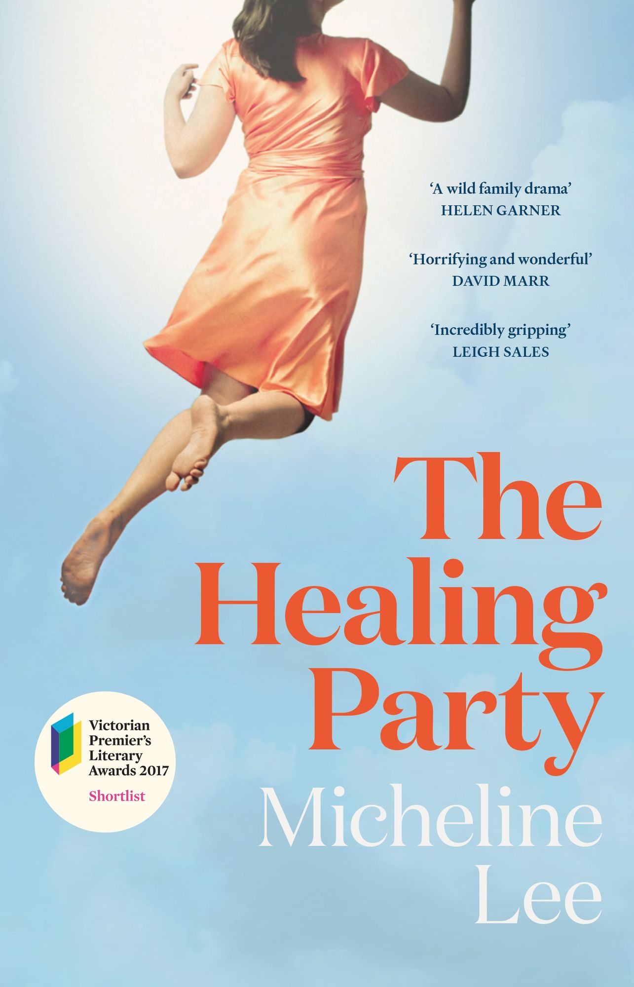 The Healing Party: A Novel